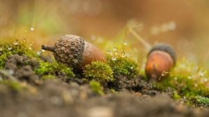 К чему снится заблудиться во сне