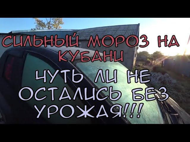СИЛЬНЫЕ ЗАМОРОЗКИ /СПАСАЕМ СВОЙ УРОЖАЙ/ОТДЫХАЕМ С ДЕТЬМИ В FRUTTI LAND /ОКУЧИВАНИЕ КАРТОФЕЛЯ/ смотреть онлайн
