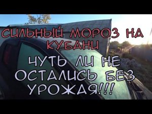 СИЛЬНЫЕ ЗАМОРОЗКИ /СПАСАЕМ СВОЙ УРОЖАЙ/ОТДЫХАЕМ С ДЕТЬМИ В FRUTTI LAND /ОКУЧИВАНИЕ КАРТОФЕЛЯ/