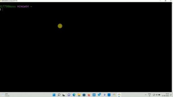 How to clone GitHub repository ?
