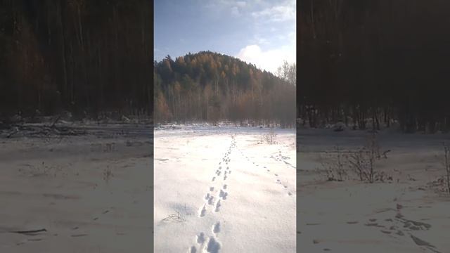потухший вулкан в республике Бурятии смотреть онлайн