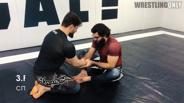 Back Mount From Butterfly Guard