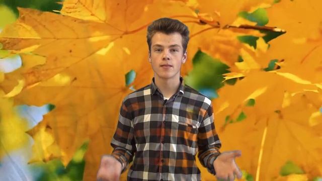 Поздравление ко дню учителя смотреть онлайн