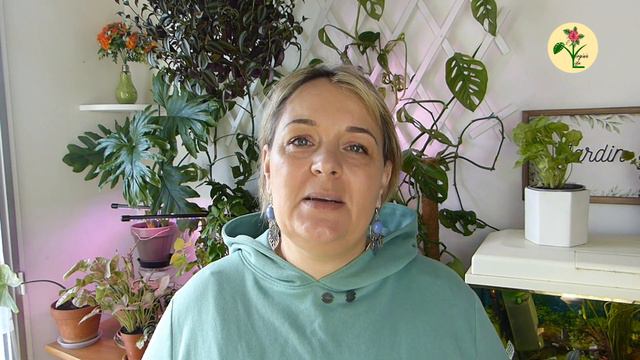 Plantes vertes en Hydroculture, Hydroponie et Aquaculture, quelle est la différence? смотреть онлайн
