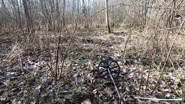 Царская медаль. Как долго я ждал этого. Коп 2020 . смотреть онлайн