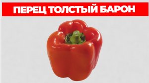 Перец Толстый Барон Описание Сорта и Отзывы