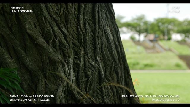 Panasonic LUMIX DMC-GH4 | Test Footage on DCI4K 24fps смотреть онлайн