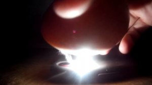 ? Инкубации индюшиных яиц от закладки до вылупления | Биг -6 | ОТ И ДО | В 2021.