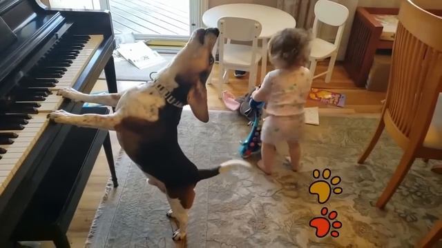 Пес ИГРАЕТ на ПИАНИНО И ПОЕТ, а ребенок ТАНЦУЕТ! ПОТРЯСАЮЩЕЕ видео! смотреть онлайн