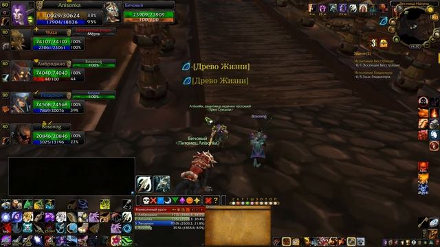 Wow 3.3.5 Hunter MM (Server Sirus)