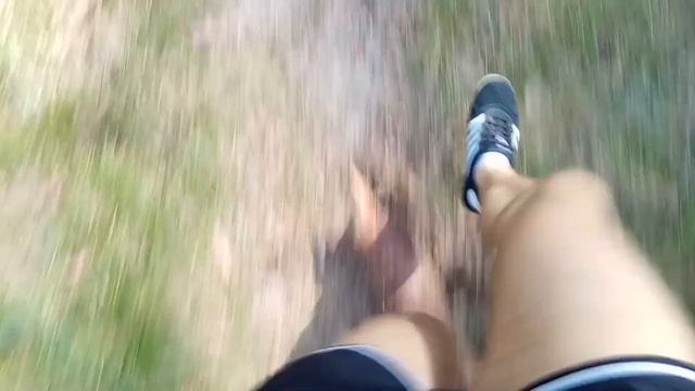 ТРЕНИРОВКА В ЛЕСУ С ПРЕПЯТСТВИЯМИ | STREET WORKOUT THE FOREST смотреть онлайн