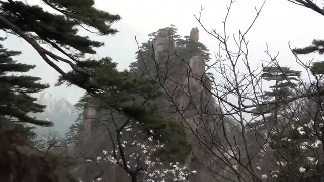 И на скалах растут деревья смотреть онлайн