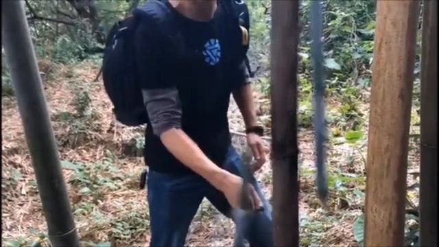 WILDMAN.VN Test Gerber Strongarm смотреть онлайн