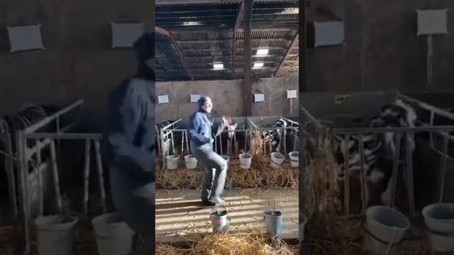 танцы с телками смотреть онлайн