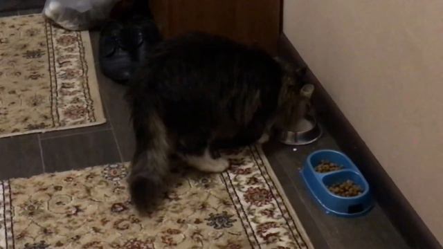 Дружба - это когда можешь уступить... смотреть онлайн