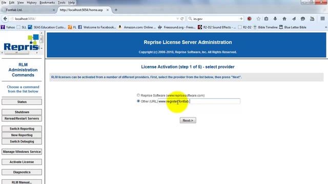 Using the RLM Multi License Server for PC смотреть онлайн