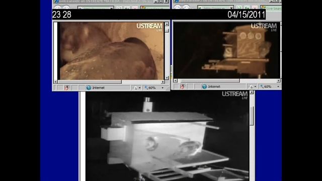 Owlettes have a picnic 4/15 on the Veranda смотреть онлайн