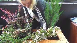 Секреты контейнерного озеленения.часть 2