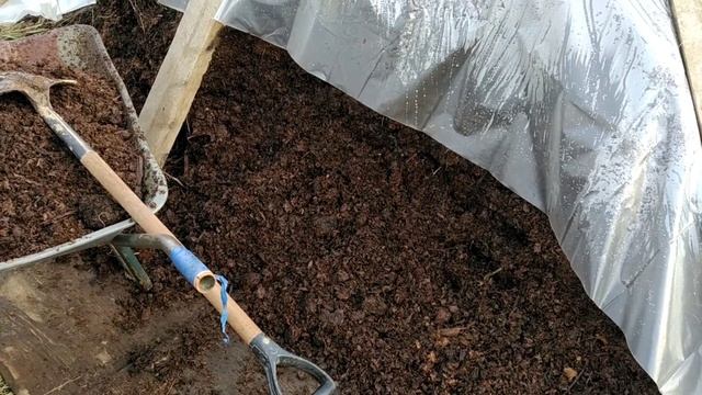 #КонскаяПодстилка #УдобрениеДляРоз Розам купили конскую подстилку! смотреть онлайн