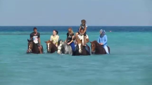 КОННЫЕ ПРОГУЛКИ к Красному морю в Хургаде. смотреть онлайн