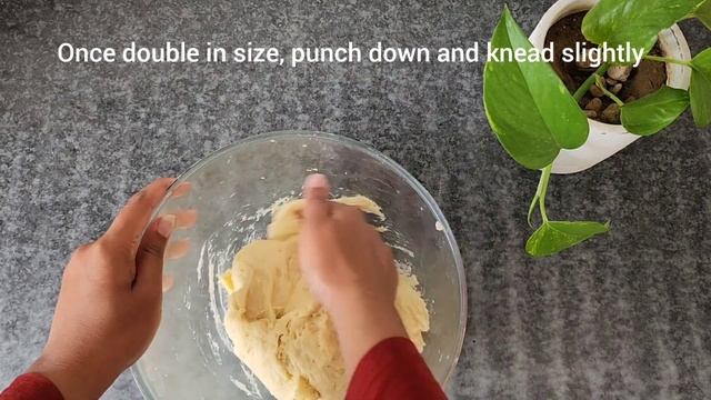 Korean Style Twisted Doughnut | Café Style Recipe | Bakers Bites