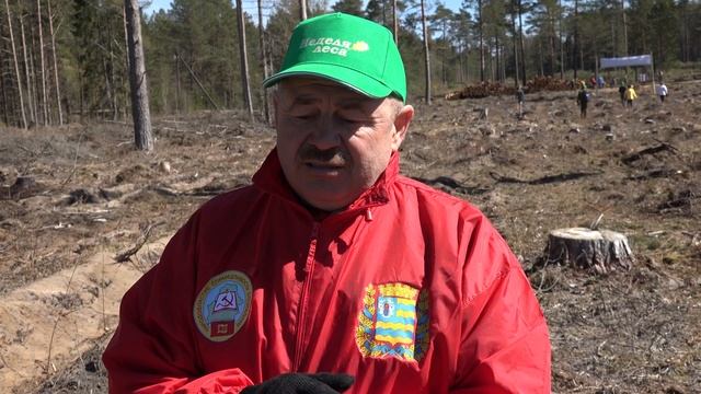 "Неделя леса -2019" смотреть онлайн