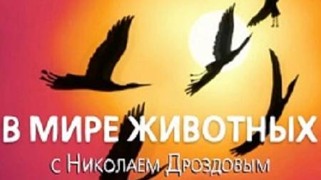В мире животных с Николаем Дроздовым 2005 г   Выпуск - 1