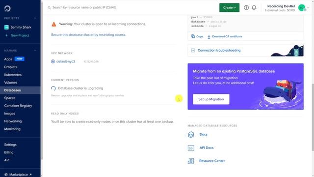 Upgrade to PostgreSQL 14 Without Downtime смотреть онлайн