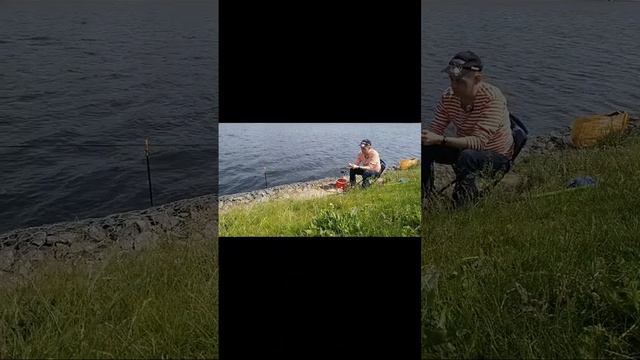 ⭐РЫБАЛКА НА ФИДЕР⭐ смотреть онлайн