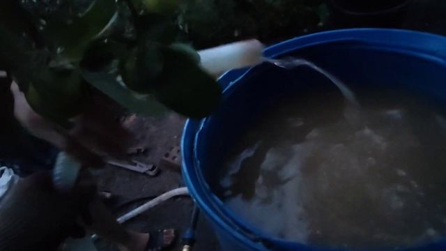 Скважина на острове без электричества. Анализ воды. смотреть онлайн