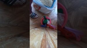 убираю кошачий лоток с древесным наполнителем.