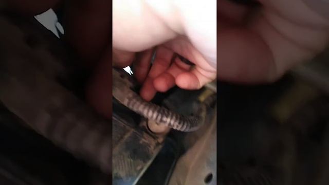 Замена лампы-противотуманки на RAVON NEXIA R3