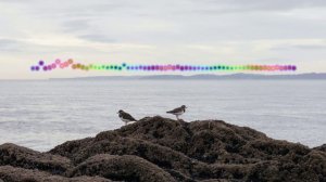 Хава Алиева - Как поверить 2024