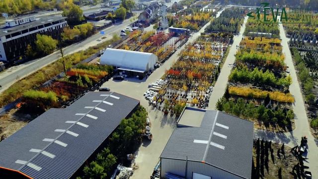 EVA Landscape Company