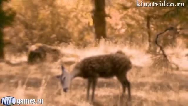 Assasins Creed 3 Smosh на русском смотреть онлайн