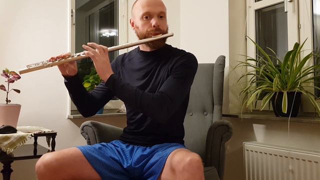 Monkey Island 1, Scumm Bar Theme (Flute + Guitar cover) смотреть онлайн
