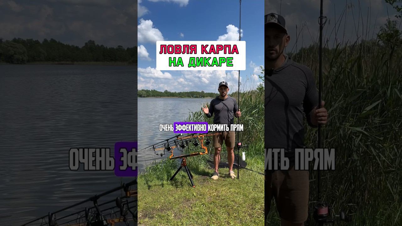Ловля карпа на твердом дне #карпфишинг смотреть онлайн