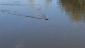 рыбалка на подъёмник (паук) с обрыва. Сборка самодельного паука. Ч.1