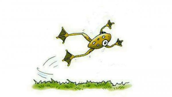 Spotlight 2 p.62 ex.1 CD&DVD