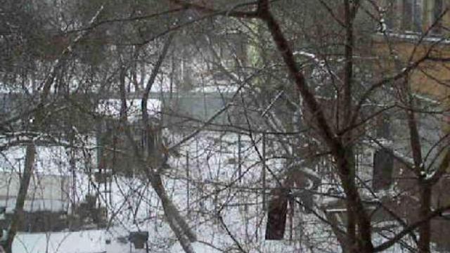 Снегопад в саду смотреть онлайн