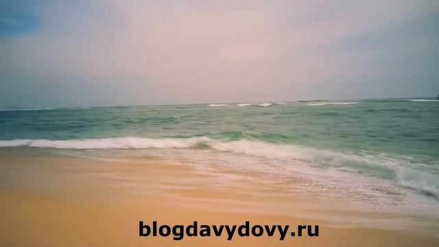 Пляж Говияпана бич, Мидигама(Goviyapana beach, Midigama) февраль 2015, Шри-Ланка (Sri Lanka) смотреть онлайн