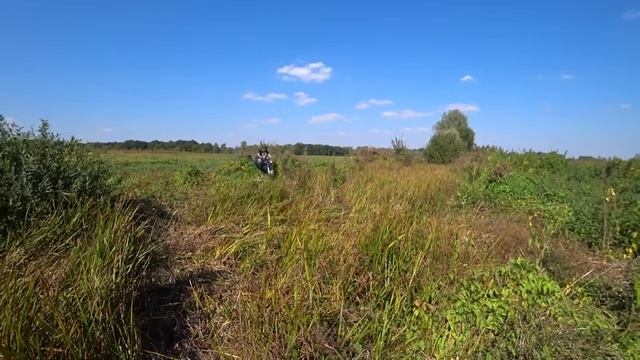 МТ Днепр покатуха. смотреть онлайн