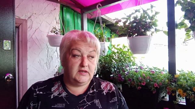 ?Если перечеренковывать петунию,что останется от растения??Сохранение матрчника петунии.? смотреть онлайн