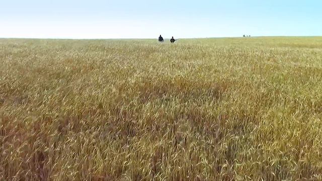 Dedal-NV. A Hunter's Sketches. Summer смотреть онлайн