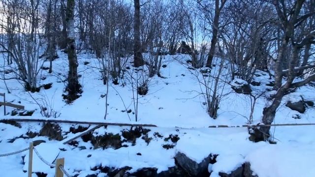 Рыбалка в Норвегии. Зима пришла -15 в море не хочется. смотреть онлайн