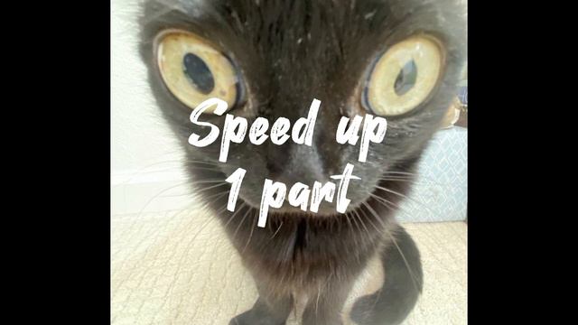 Люди больше не услышать 😔 Speed up❤️🔥 смотреть онлайн