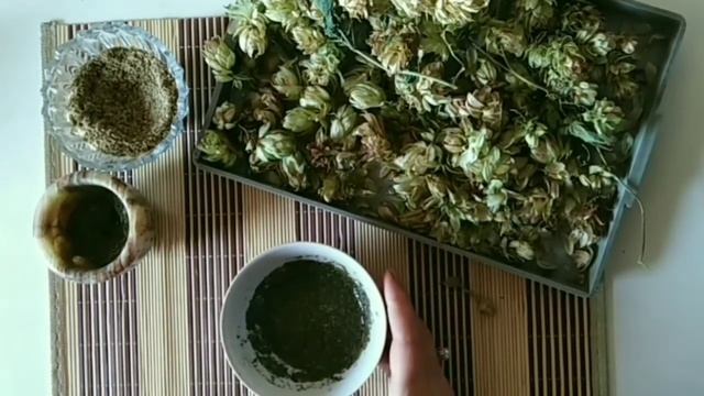 ШИШКИ ХМЕЛЯ.ПРАВИЛЬНАЯ МАСКА для ВОЛОС из шишек ХМЕЛЯ.КРАСИВЫЕ ГУСТЫЕ ВОЛОСЫ. смотреть онлайн
