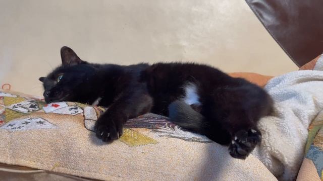 Королевский карп ... по-китайски на пару смотреть онлайн