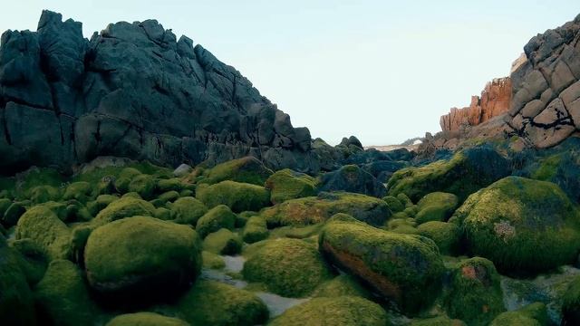 Beach or river? GitUp Git2 & Feiyu WG смотреть онлайн