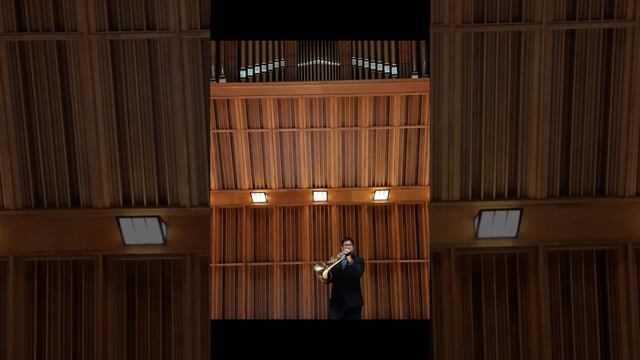 Nicolas Andrade performs Horn Concerto No. 4 in E-flat major, K. 495 (Exposition) смотреть онлайн